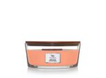 Woodwick - Manuka Nectar VáZa ( Nektar Z Manuky ) - Vonná SvíčKa 453.6G