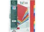 Exacompta 7034E Exacompta Karton-Register, 320 X 240 Mm, 12-Teilig