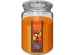 Candela Profumata - Frutti Esotici - 510G - Atmosphera CréAteur D'intéRieur