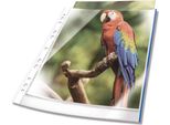 Durable Busta Perforata Premium A4 In Pp Extra Lucido Con Bordo Colorato Busta 10 Pezzi, 10 Pezzi, Blu, 265406