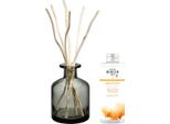 Set Regalo Aroma Energy Diffusore Grigio + Ricarica Fresh Tonic 200 Ml