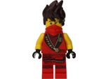 Lego Ninjago: Kai (Più Vecchio, Reboot)