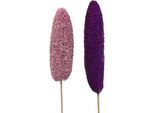 Spugna Di Luffa Su Stelo Grande Decorazione Naturale Erica Rosa, Decorazione A Secco Per Vasi E Composizioni, 25 Pezzi 8Cm-30Cm