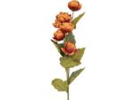 Fiore Artificiale Clayre & Eef 10X10X63 Cm In Plastica Arancione