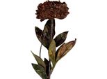 Fiore Artificiale Clayre & Eef 10X10X65 Cm Plastica Rossa