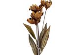 Fiore Artificiale Clayre & Eef 8X5X60 Cm Plastica Beige
