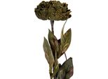 Fiore Artificiale Clayre & Eef 10X10X65 Cm Plastica Verde