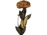 Fiore Artificiale Clayre & Eef 10X10X65 Cm Plastica Gialla