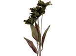 Fiore Artificiale Clayre & Eef 8X5X60 Cm Plastica Verde