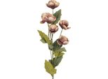 Fiore Artificiale Clayre & Eef 10X10X63 Cm Plastica Viola
