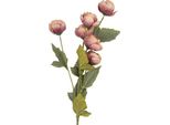 Fiore Artificiale Clayre & Eef 10X10X63 Cm Rosa Plastica