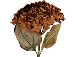 Fiore Artificiale Clayre & Eef 15X15X47 Cm Plastica Arancione