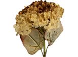 Fiore Artificiale Clayre & Eef 15X15X47 Cm Plastica Beige