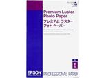 Epson Premium Luster - Lucida - 10 Mil - Super A3/B (330 X 483 Mm) - 250 G/M² - 100 Fogli Carta Fotografica