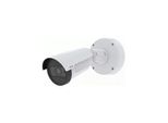 Axis 02341-001 Capocorda Telecamera Di Sicurezza Ip Interno E Esterno 2592 X 1944 Pixel Soffitto Muro