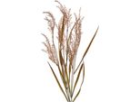 Fiore Artificiale Clayre & Eef 88 Cm Plastica Marrone