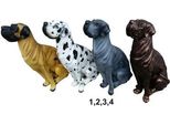 Cane Busto Cane Deco Figura Statua Scultura Figures Statue Sculture Nuovo Selezionabile