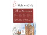 HahnemüHle Tampone Per Acquerello 12 Fogli Britannia Opaco 30X40Cm 300G