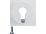 Berker 15071909 Piastra Centrale Per Interruttore A Chiave/Pulsante Bianco Polare Opaco Berker S.1/B.3/B.7