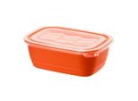 Lattina Per Microonde Rotho, Capacità: 1,00 Litri, Lunghezza: 195 Mm, Larghezza: 135 Mm