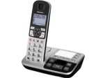 Panasonic KX-TGE520 - Telefono Cordless - Segreteria Telefonica Con Identificativo Del Chiamante - Dect\Gap - Nero, Argento (KX-TGE520