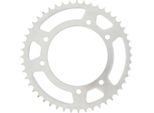 Pignone Rk 428 48T Acciaio Argento