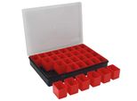 Tayg - Organizer - 330 X 247 X 54 Mm - 32 Contenitori Rimovibili - 4,4 L