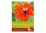 Girasole Messicano Torch | Semi Di Girasoledi Prospecierara