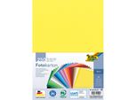 Folia 614/250 09 Folia Fotokarton, Din A4, 300 G/Qm, Sortiert