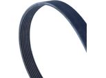 Cinghie Di Sollevamento Contitech 7PK1516