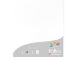 Carta A4 Pollen 210G Bianco 25 Fogli