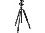 Cullmann Nando 560MC RB8.5