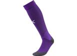 Puma Calzettoni Da Uomo Del Campionato Di Calcio Uomini Calzini Viola Bianco Dimensioni 3 (39-42)