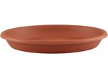 Nohel Garden Sottovaso In Plastica Madagascar D15Cm