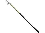 Delphin Partisan, 2.7M, 8.86Ft, 0-80G, 5 Pezzi, Canna Da Pesca Per Carpe, 101001349