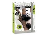 Box Na SešIty Animali Carini Panda A5