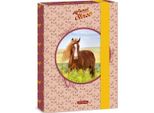 Ars Una Box Na SešIty My Sweet Horse A5