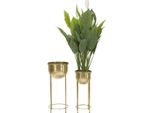 Mauro Ferretti Set Di 2 Portafiori Ø 27X62 E 21,5X52 Cm Oro
