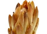 Repens Crema Fiori Secchi 25 Pz - Protea Naturalmente Elegante Decorazione Per Giorni Di Memoria, Lutto E Decorazione Della Tavola In Crema