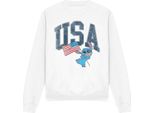 Lilo & Stitch - Felpa The Usa Per Uomo/Donna Unisex TV19853 (L) (Bianco)