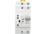 Interruttore Di Trasferimento Automatico A Doppia Potenza 2P 63A Millisecondo Commutazione Interruttore Di Trasferimento Di Potenza Ats 220V