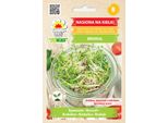 Semi Di Germoglio - Broccoli 10G