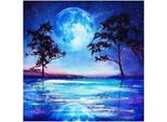 40X30 Pittura A Diamante Fai Da Te Pittura A Diamante Luna Blu