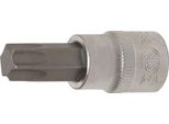 Bgs Bit A Bussola A Guida Quadrata 10 Mm (3/8") Profilo A T (Per Torx) T55 - 2549"