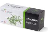 Rosmarino VéRitable Lingot - Terriccio Pre-Impiantato
