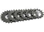 Pignone Miche Per E-Bike F.Bosch14Z Active+Performance Line 14 Denti Nero