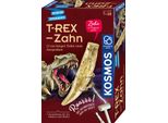 Scavo Del Dente Di T-Rex Kosmos