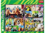 Trefl 13313 Puzzle Puzzle Da 250 Pezzi Animali