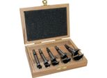 Set Di Punte Forstner Tipo 0317 5 Pezzi D.15,20,25,30,35Mm FISCH-TOOLS