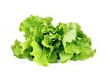 Lattuga Emsa Click & Grow